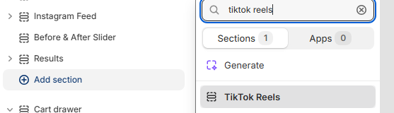 Theme editor left sidebar showing the Add section button